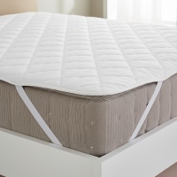 ����������� ��������� ������ Zastelli