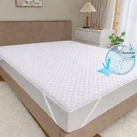 ����������� ��������������� ZASTELLI �i��� (������) ��������