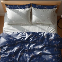   Zastelli Stars on blue and grey  