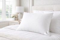 ������� ������ �������-����� ������ Zastelli 