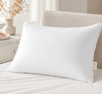 ������� ������ � ������ Zastelli 50�70 �� ��� ���������