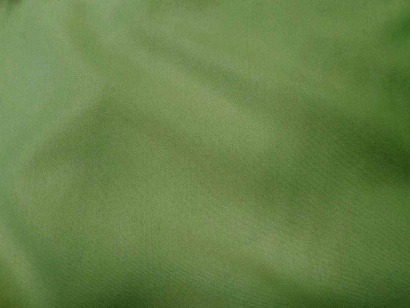   17-0220TPX WATERCRESS 85/2, 220   