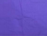   19-3750 Violet Indigo 105/2, 220    