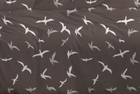   BIRDS on brown FRONT 115/2, 220