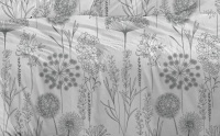  FIELD GREY 115/2, 220        