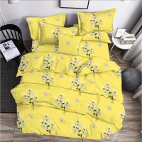   Zastelli Chamomile on Yellow