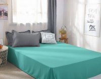 Calico sheet Mint