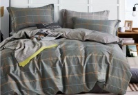 ���� ����� G-LUX 5093 115�/�2, 220��         